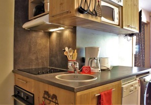 100m from ski slopes, 4th floor, view ski slopes, swimming pool, sauna, balcony, tv, ski locker in Risoul