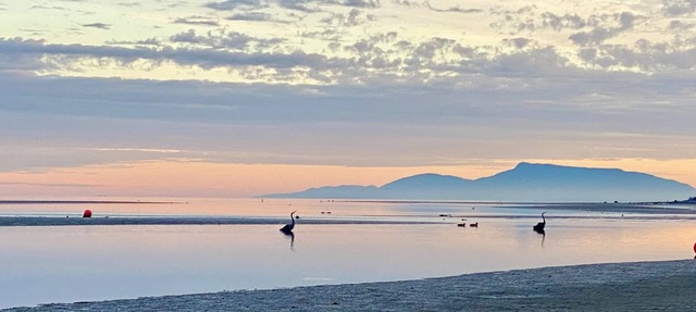 Beachside Living. Steps from the BEACH! Pet friendly in Delta