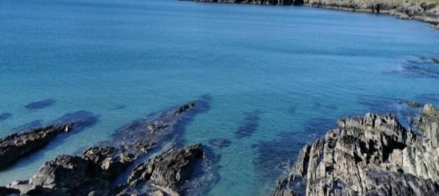 Beautiful Home above Sandycove Beach! Fishing, Bird Watching, Walking, Swimming! in Cork