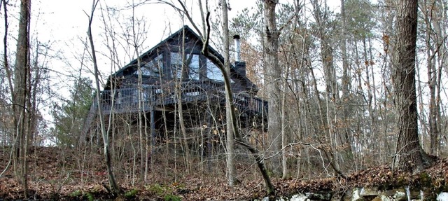 Bowie Cabin, Family Cabin with private hot tub + Gorge view in Logan