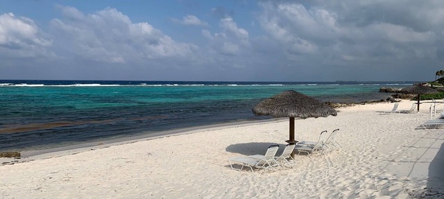 Cayman Kai, Rum Point; Quaint Oceanfront Condo With Beautiful Private Beach in Rum Point