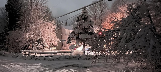 Cozy and bright ski chalet on Mount Sutton - seasonal rental in Sutton