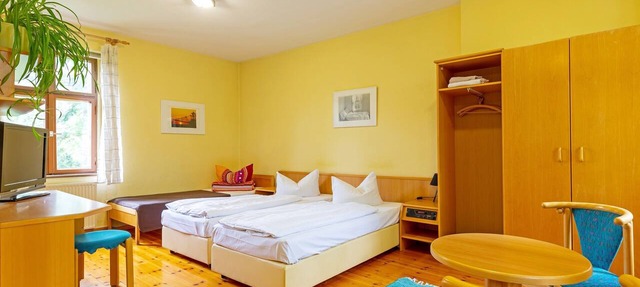 Double room with shared bathroom 2 - Jugendgästehaus in Cottbus