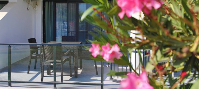 Ground Studio Apartment with Pool View in Iskele, Long Beach, Northern Cyprus in Iskele