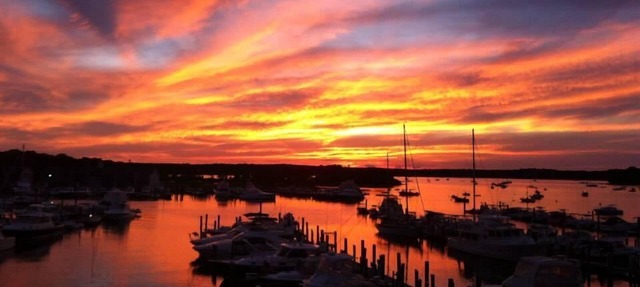 Heated Private Pool, Walk to Beach & Shops, fully renovated house in Osterville