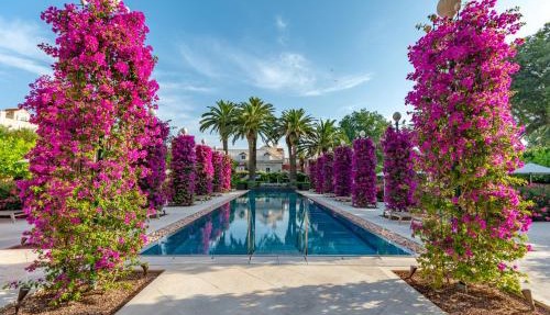 Hotel Lemongarden - Adults Only in Sutivan