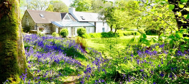 Idyllic West Cork cottage farmhouse in 3 acres, with woods and river, Skibbereen in Skibbereen