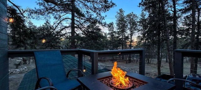 Micah Blk Forest Lodge Cottage on 6 Wooded Acres in Colorado Springs