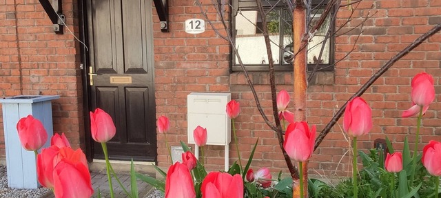 Quiet gated Family Townhouse within walking distance of all attractions in Dublin 8