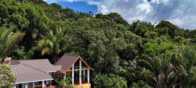 Relax at this hillside retreat that overlooks the lush forest and the Caribbean. in West End