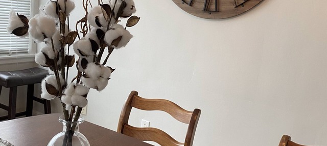 Spring into Dubuque: Stroll, Shop, Sip & Stay in our Charming Cozy Bungalow! in Dubuque