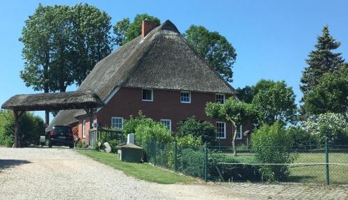Stockrose in Schashagen