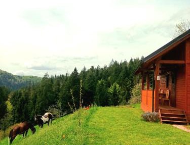 Tiny house in Žiri