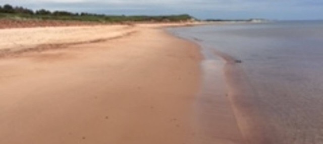 Tiny Perfect Cottage On PEI's North Shore in Cable Head West