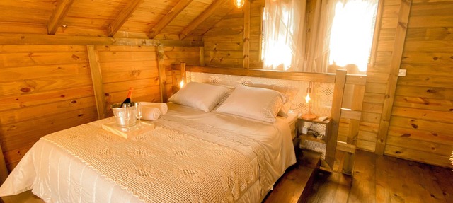 Toucans' Home Chalet - A Romantic Chalet in Santo Amaro da Imperatriz in Santo Amaro da Imperatriz