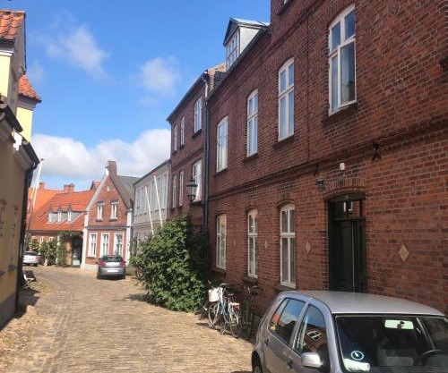 Ribe 