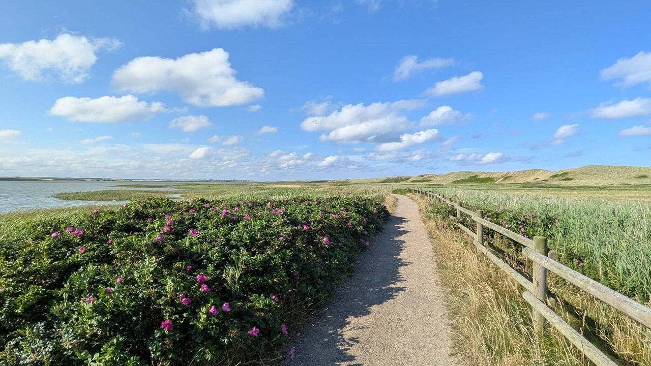 Photo of Others in Harboore