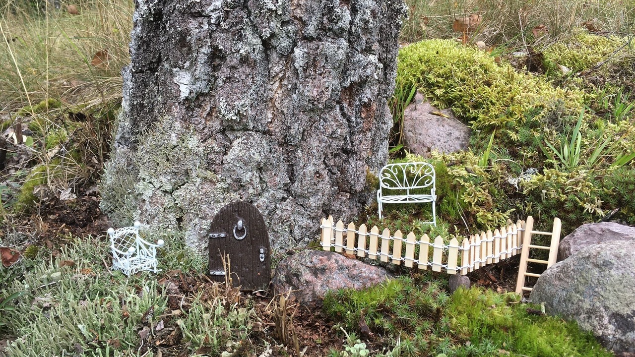 Photo of Outdoor in Nybro