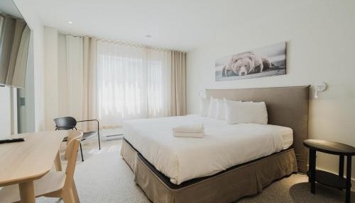 Private Luxury Room- C - King bed, Centrally Located , Free Shuttle to ski Hill and Resort, Coffee in Mont-Tremblant